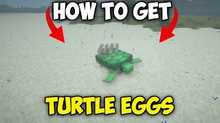 How to Get Turtle Eggs in Minecraft 26.2+