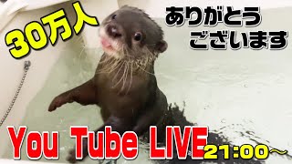 30万人突破　ありがとうございます生配信