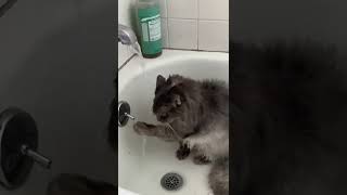 Bobby enjoys his shower