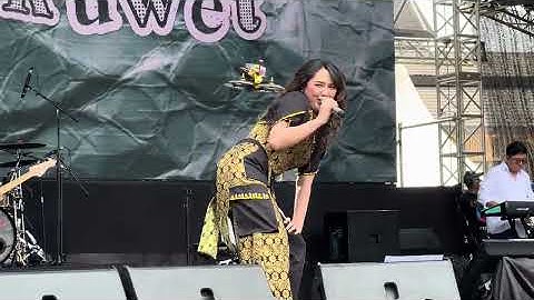Happy Asmara - Ngopi Maszeh - ADM Family Day 2025 - (Live in TMII)