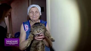 Ток-шоу "Мнения". Тема - законопроект о домашних животных Ток-шоу "Мнения". Тема - законопроект о домашних животных