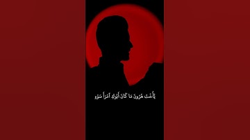 فَأَشَارَتۡ إِلَيۡهِ|القارئ عبدالصاحب اللهيبي #قران_كريم #تلاوة_خاشعة #عبدالصاحب_اللهيبي
