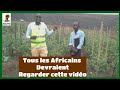 cet agriculteur Congolais adresse un message émouvant à tous les Africains à travers cette vidéo