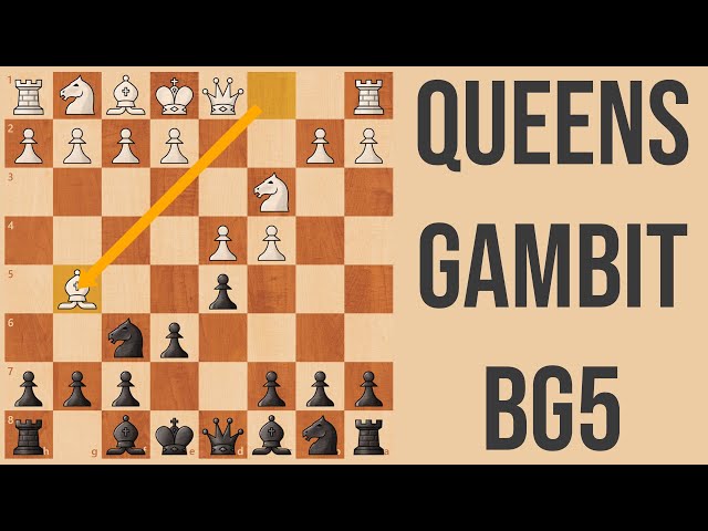 Queens Gambit Move