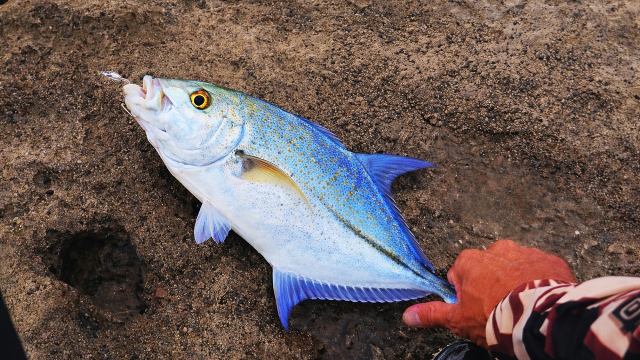 CAUGHT PAPIO AT NEW SPOT | HAWAII SHORE FISHING