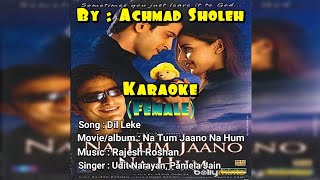 Dil Leke - Na Tum Jaano Na Hum (Karaoke) Female