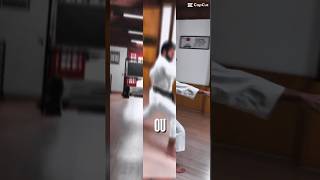 Shitei Dojo Karatê JKA - estudar, praticar e evoluir - sempre