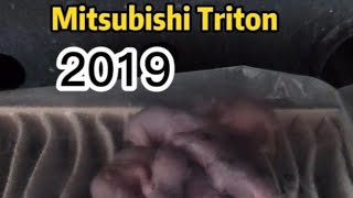 Mitsubishi Triton 变老鼠窝
