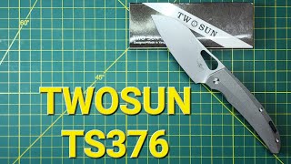 Twosun Ts376 D2, Large Knife, Could Easily Put In Work As A Chef Knife, Chopping And Slicing.