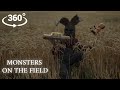 Corn Horror / scarecrows in 360VR 4K