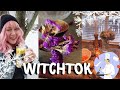 Witchtok Compilation ~Kitchen witches/Magick 👩‍🍳🍪🌟