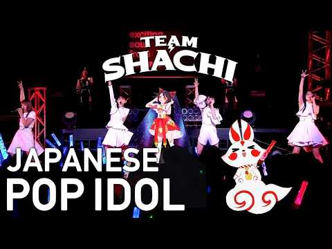 【Japanese Pop Idol】Interview to J pop Idols ~アイドルに突撃インタビュー~【TEAM SHACHI】