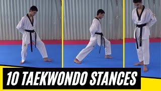 Celebrity 10 Taekwondo Basic Stances in Traditional Taekwondo (Poomsae) Profile