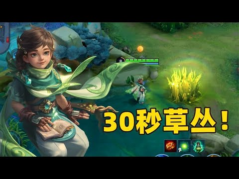 王者体验服10位英雄大调整，桑启大招草丛可以持续30秒了！