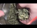 Og Lime Killer Sugar Leaves and Small Buds Will Be Used To Make Edibles