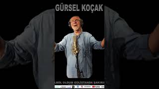 Bülbül Oldum Gülistanda Şakırım Gürsel Koçak @HYSMMusicProduction @halilyildizofficial @gurselkocak Resimi