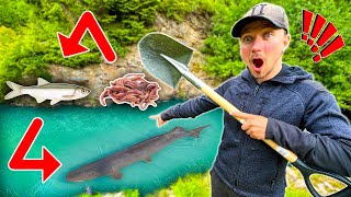 Food Chain Fishing Challenge  WORM to BIGGEST FISH