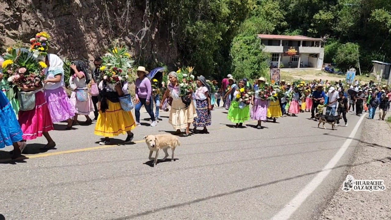 Фестиваль Святого Покровителя 2023 Сан-Матео Пеньяско Тлаксиако🥳🤩💐🎥✨🤠