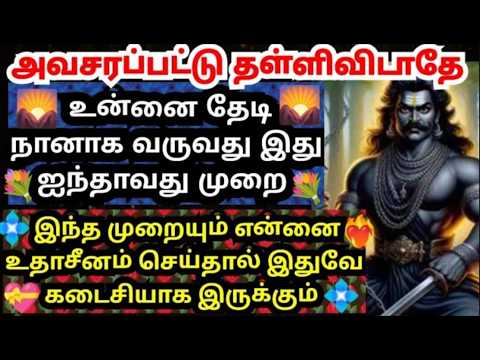 அவசரப்பட்டு தள்ளிவிடாதே🔥உன்னை தேடி வருவது இதுவே கடைசி #கருப்பசாமி#karupasamy#karuppanvakku #karupan