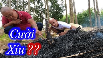 Tranh Tài Thả Lưới Bắt Cá - Cười Xỉu Với Pha Úp Thuyền Đẳng Cấp Của Team Toàn Đen | Son Duoc Vlogs