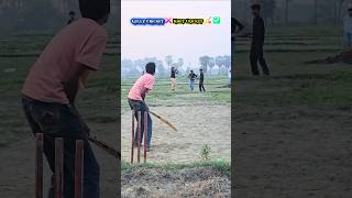 Gully Cricket ❌️ Khet Cricket ✅️.. #youtubeshorts #ytshorts #Cricketchallenge #dailylifevlog