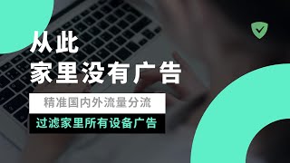 DNS神器AdGuard Home，网页秒开！秒解析、去广告、防污染的AdGuard Home安装设置教程！配合PassWall使用，解决家里所有设备过滤广告，实现国内外流量精准分流