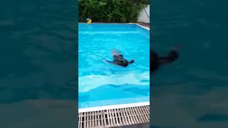 Swim? Yes