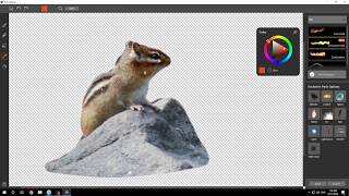 Using ParticleShop with PaintShop Pro - Part 1