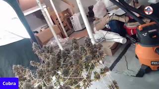Harvest and Reload