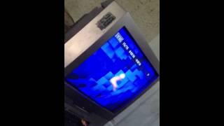 My Pet T.v.