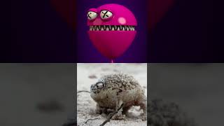 A tiny angry squeaking Frog 🐸 | Super Cute Animals - BBC - Part 1