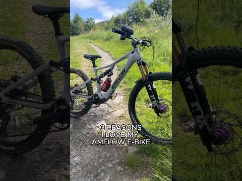 3 Reasons I Love My Amflow PX Carbon Pro E-Bike