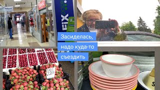 Засиделась, надо куда то сьездить и что то купить. Шампунь для животных-спасение сада, огорода