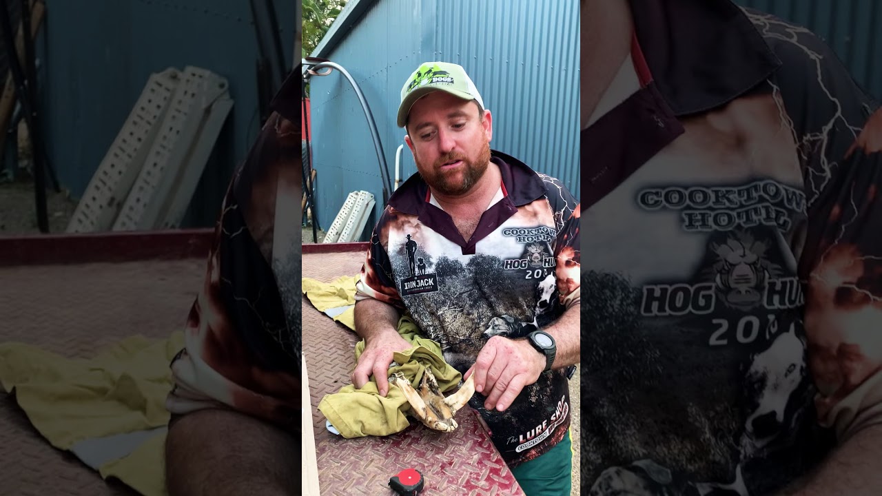 Douglas Points Scoring System