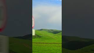 Папан/ Osh