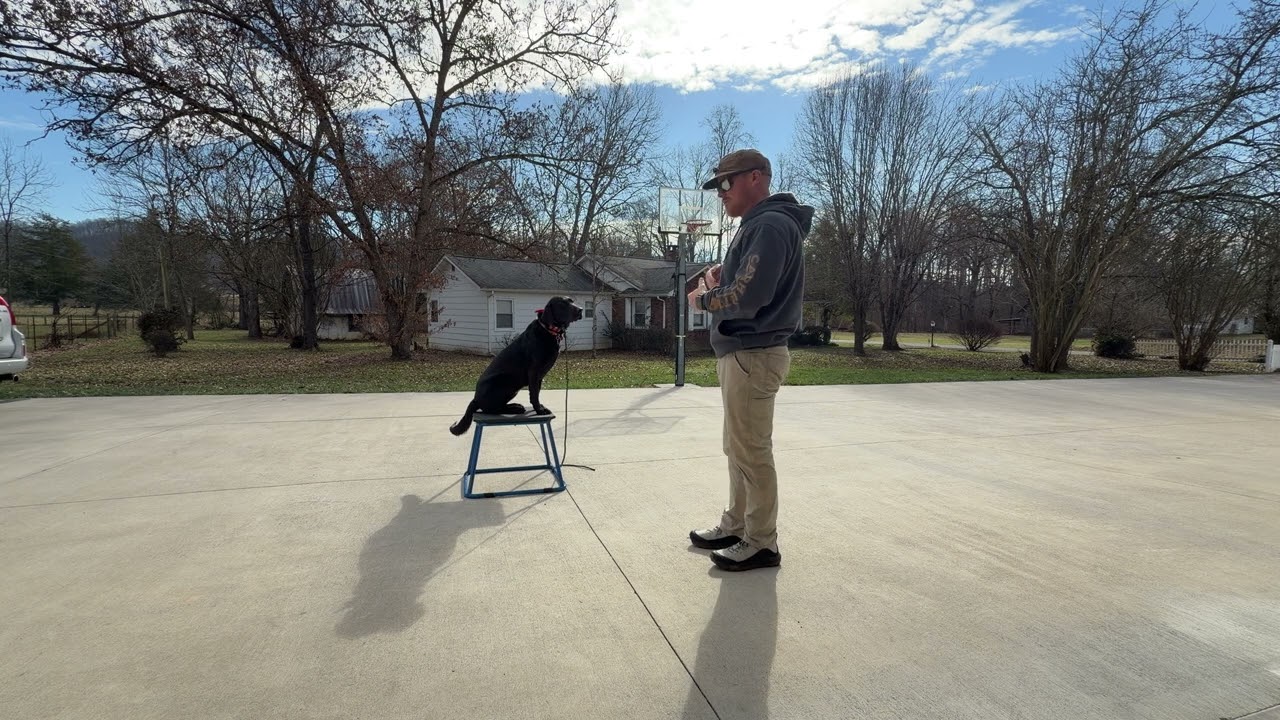 Luna Day 3- Intro to Elevated “Place”