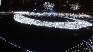Caretta Illumination 2011 : Blue Forest