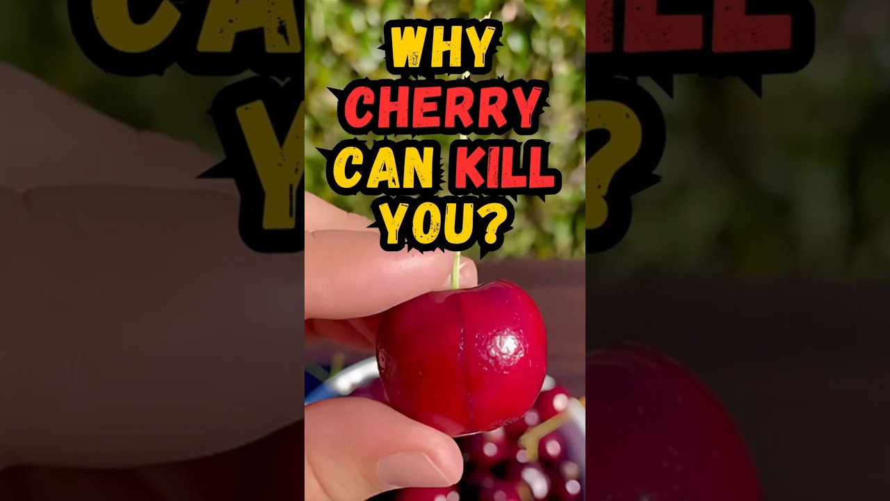 Why cherry are dangerous for you!? 