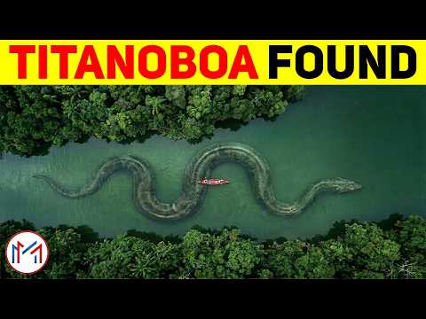 அதிர்ச்சி! மீண்டும் தோன்றிய டைட்டனோபோவா? ஆதாரத்துடன் இதோ! Titanoboa Found? Minutes Mystery