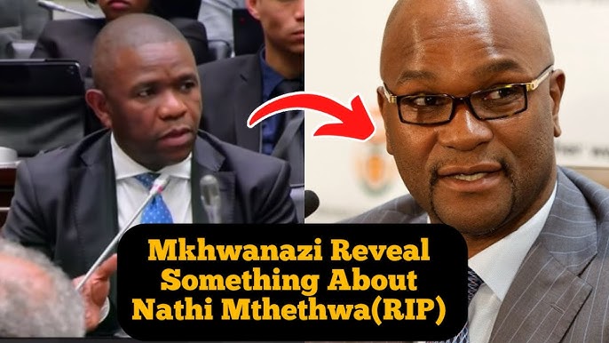 Ngeke ukholwe okushiwo uGen Mkhwanazi ngo Nathi Mthethwa😳