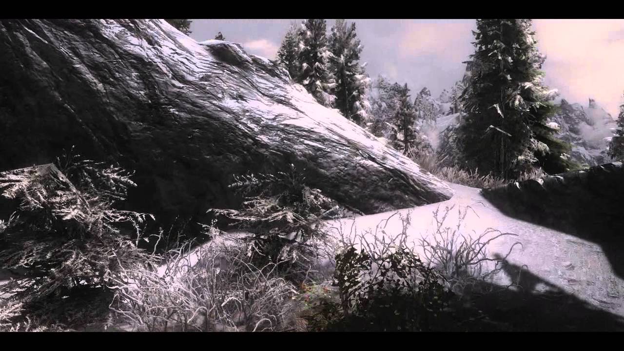 Skyrim: Bleak ENB
