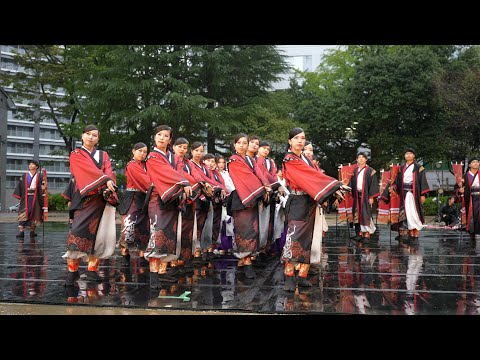 天嵩～Amata～ 📍仙台みちのくYOSAKOIまつり (錦町公園) 2025-10-11T14