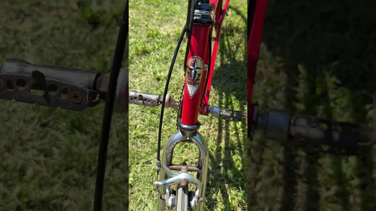 #3 of 3 recumbent bicycles we picked up during our first estate buyout 