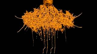 Liquidised - Split tape (2012)