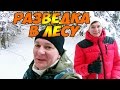 Разведка в лесу // Незаконная вырубка // Немного о даче