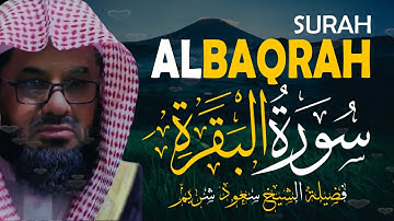 سورة البقرة كاملة بدون اعلانات فضيلة الشيخ سعود الشريم surah baqarah saud shuraim
