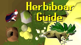 [OSRS] Herbiboar Money Making Guide (XP and GP Per Hour)
