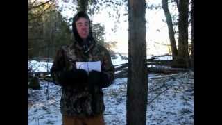How To: Identifying Black Cherry Trees