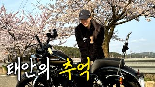 서울에서 태안의 끝, 오토바이 벚꽃 라이딩 여행 | 할리데이비슨 338km 바이크여행