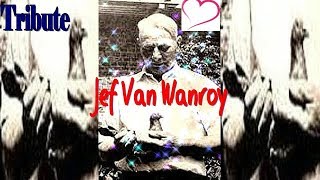 The Jef Van Wanroy racing pigeon #pigeonfancier#racingpigeon
